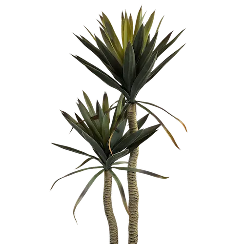 Yuca Doble 135cm