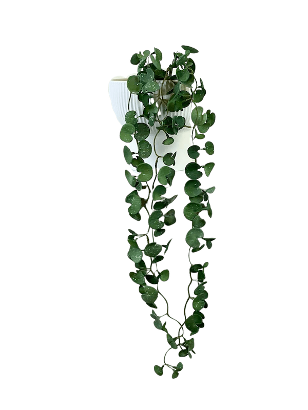 Colgante de hoja de loto 80cm textura natural