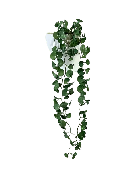 Colgante de hoja de loto 80cm textura natural
