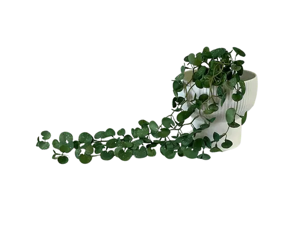 Colgante de hoja de loto 80cm textura natural