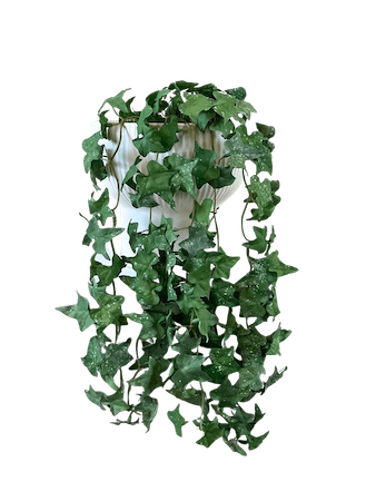 Colgante hiedra verde soft touch 60cm largo