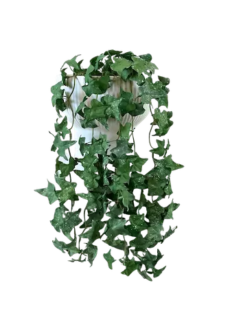 Colgante hiedra verde soft touch 60cm largo