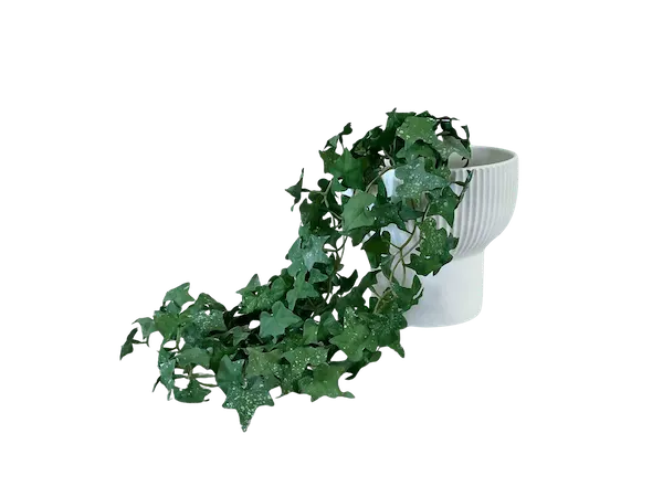 Colgante hiedra verde soft touch 60cm largo