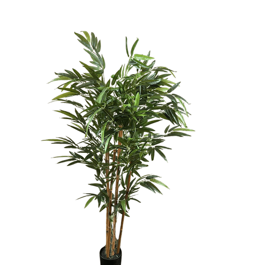 Bambu 150cm