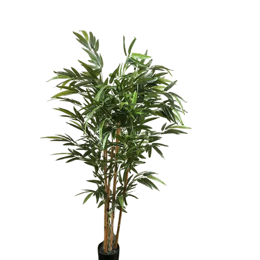 Bambu 150cm