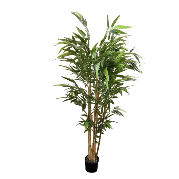 Bambu 150cm