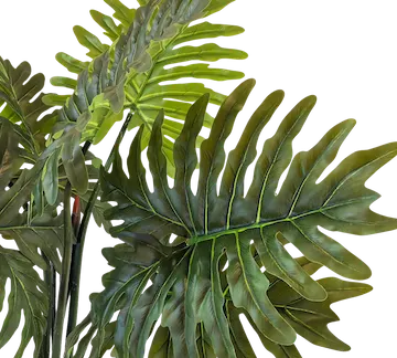 Árbol Shelloum 160cm