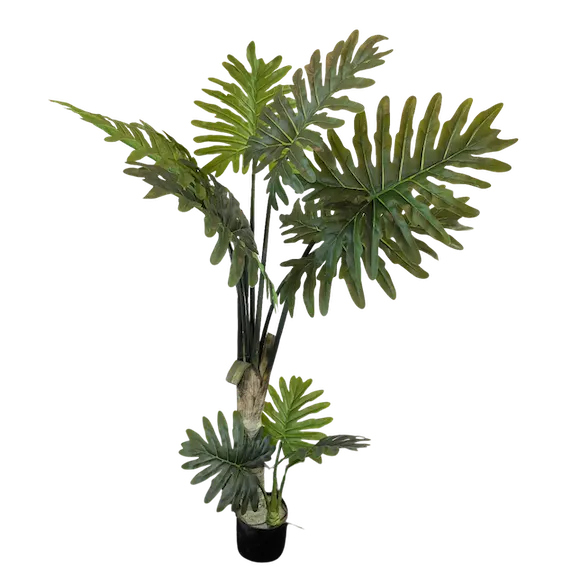 Árbol Shelloum 160cm