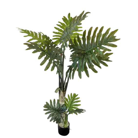 Árbol Shelloum 160cm