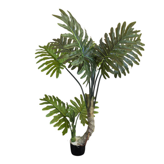 Árbol Shelloum 120cm