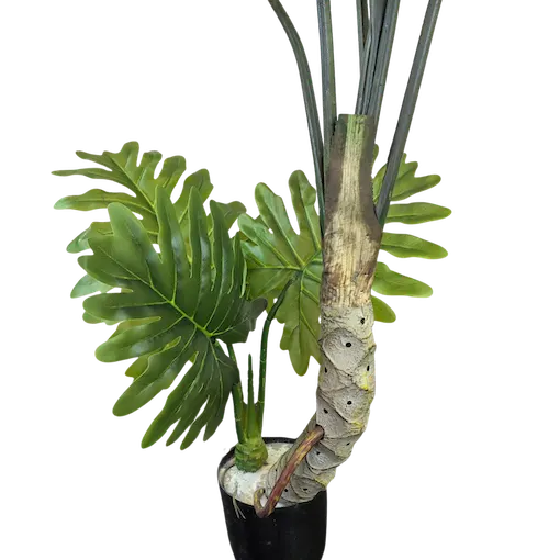 Árbol Shelloum 120cm