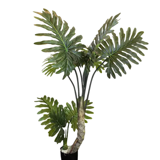 Árbol Shelloum 120cm