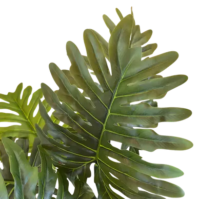 Árbol Shelloum 120cm