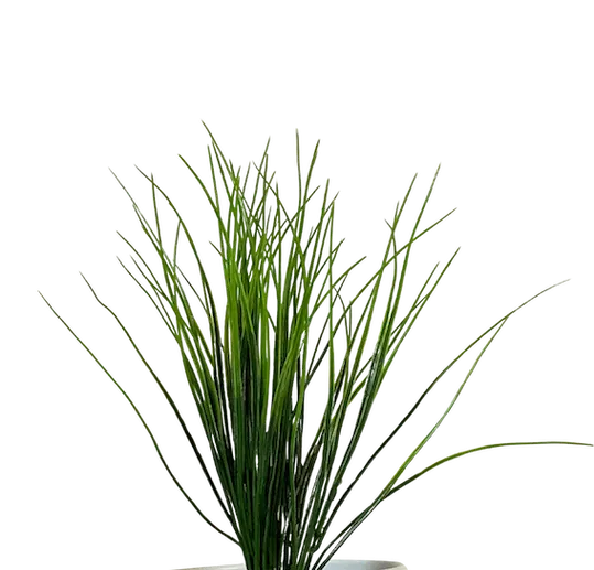 Zacatillo Verde 48cm