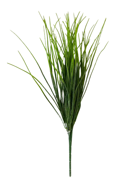 Zacatillo Verde 48cm