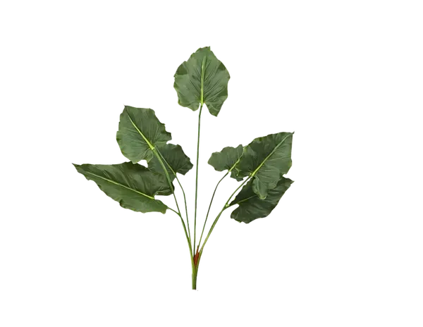 Planta elegante puntiaguda apariencia natural 80cm