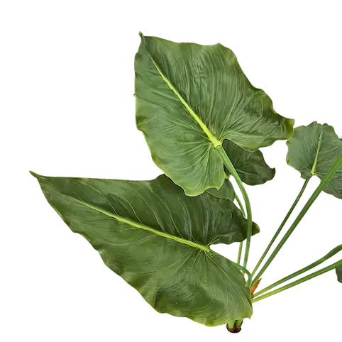 Planta elegante puntiaguda apariencia natural 80cm