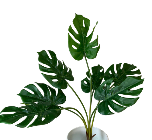 Planta esqueleto apariencia natural 75cm