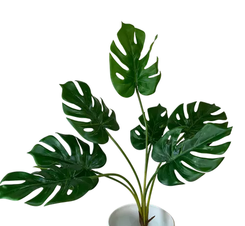 Planta esqueleto apariencia natural 75cm