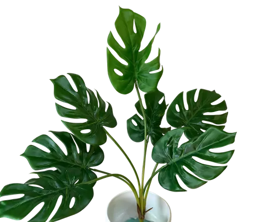 Planta esqueleto apariencia natural 75cm
