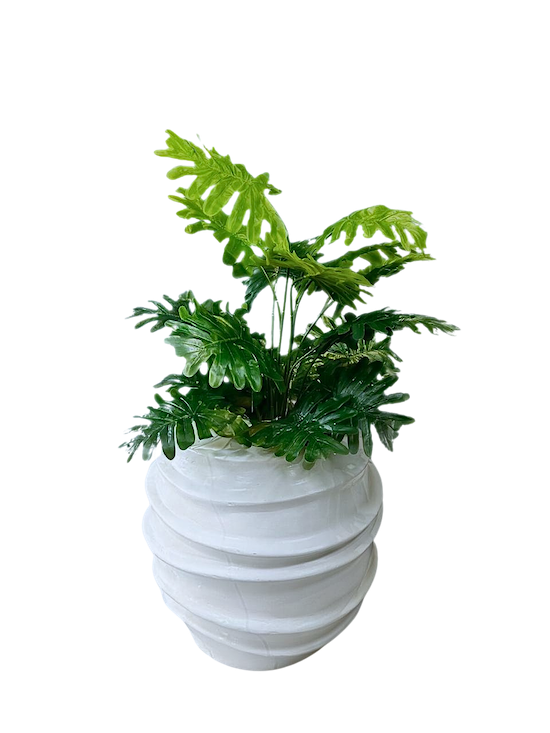 Planta Shelloum Plastificada 75cm