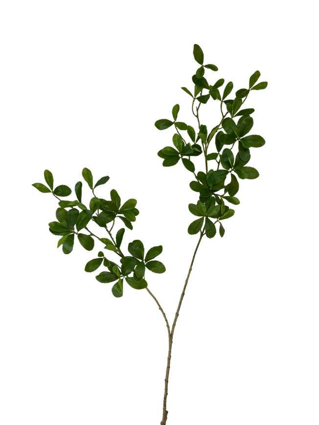 Vara de hoja evergreen 100cm
