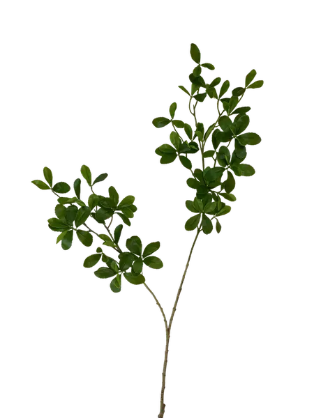 Vara de hoja evergreen 100cm