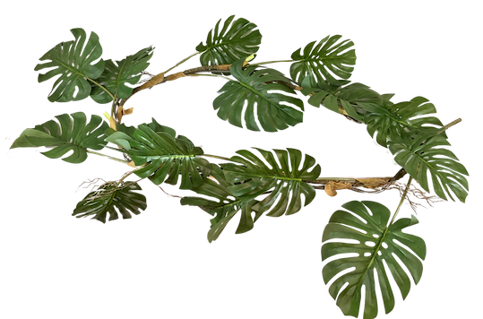 Guía Garra de león apariencia natural 200cm