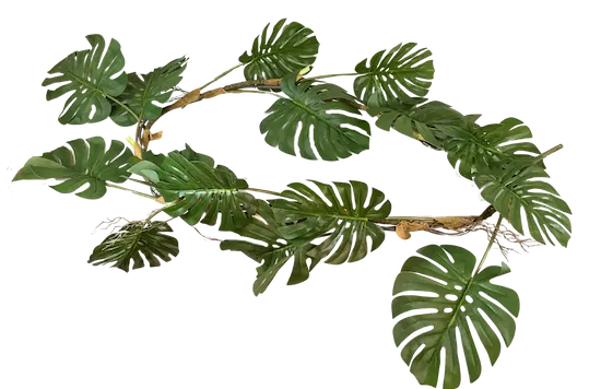 Guía Garra de león apariencia natural 200cm