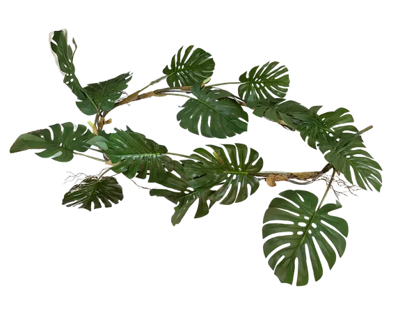Guía Garra de león apariencia natural 200cm