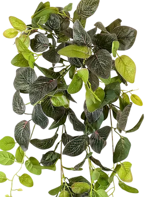 Colgante ruscus jaspeado 80cm
