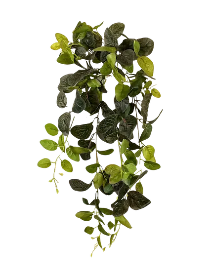 Colgante ruscus jaspeado 80cm