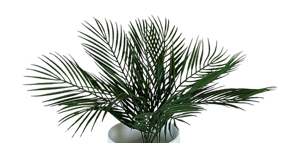 Palmita plastificada de 53cm, dos tonos