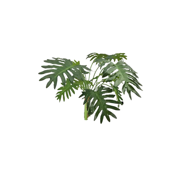 Planta Shelloum Natural touch 70cm