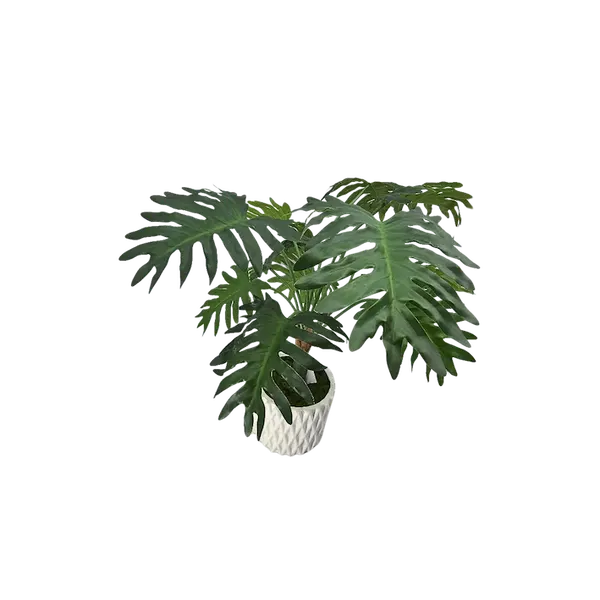 Planta Shelloum Natural touch 70cm