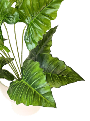 Planta Hoja Elegante Puntiaguda con textura 40cm