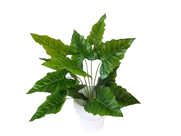 Planta Hoja Elegante Puntiaguda con textura 40cm