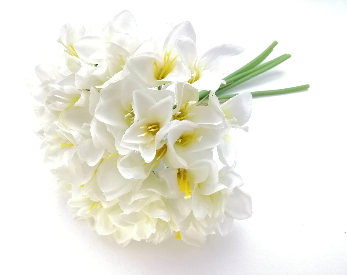 Ramo de lilys kaffir 30cm largo x 5 varas: blanco y lila.