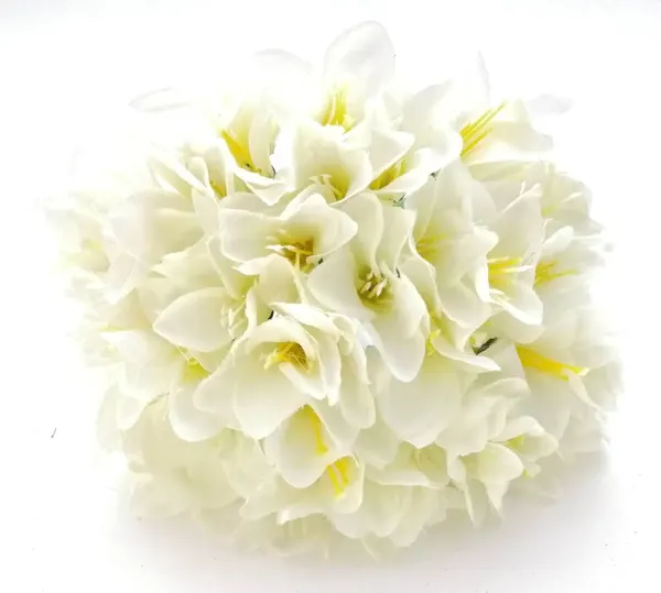 Ramo de lilys kaffir 30cm largo x 5 varas: blanco y lila.