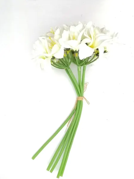 Ramo de lilys kaffir 30cm largo x 5 varas: blanco y lila.