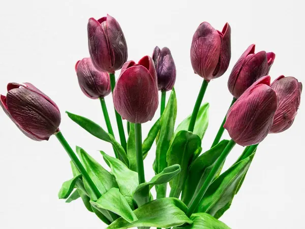 Ramo de tulipanes con 10 flores, varios colores