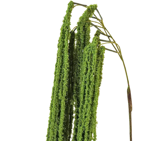 Amaranto soft touch verde 140cm