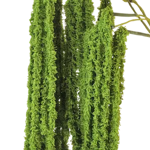 Amaranto soft touch verde 140cm