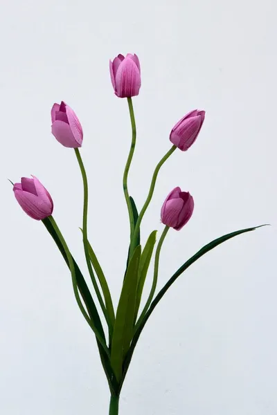 Ramo de tulipanes con 5 flores, varios colores