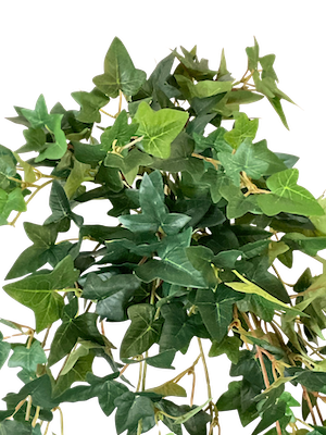 Colgante hiedra hoja pequeña apariencia natural 115cm