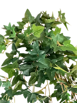 Colgante hiedra hoja pequeña apariencia natural 115cm