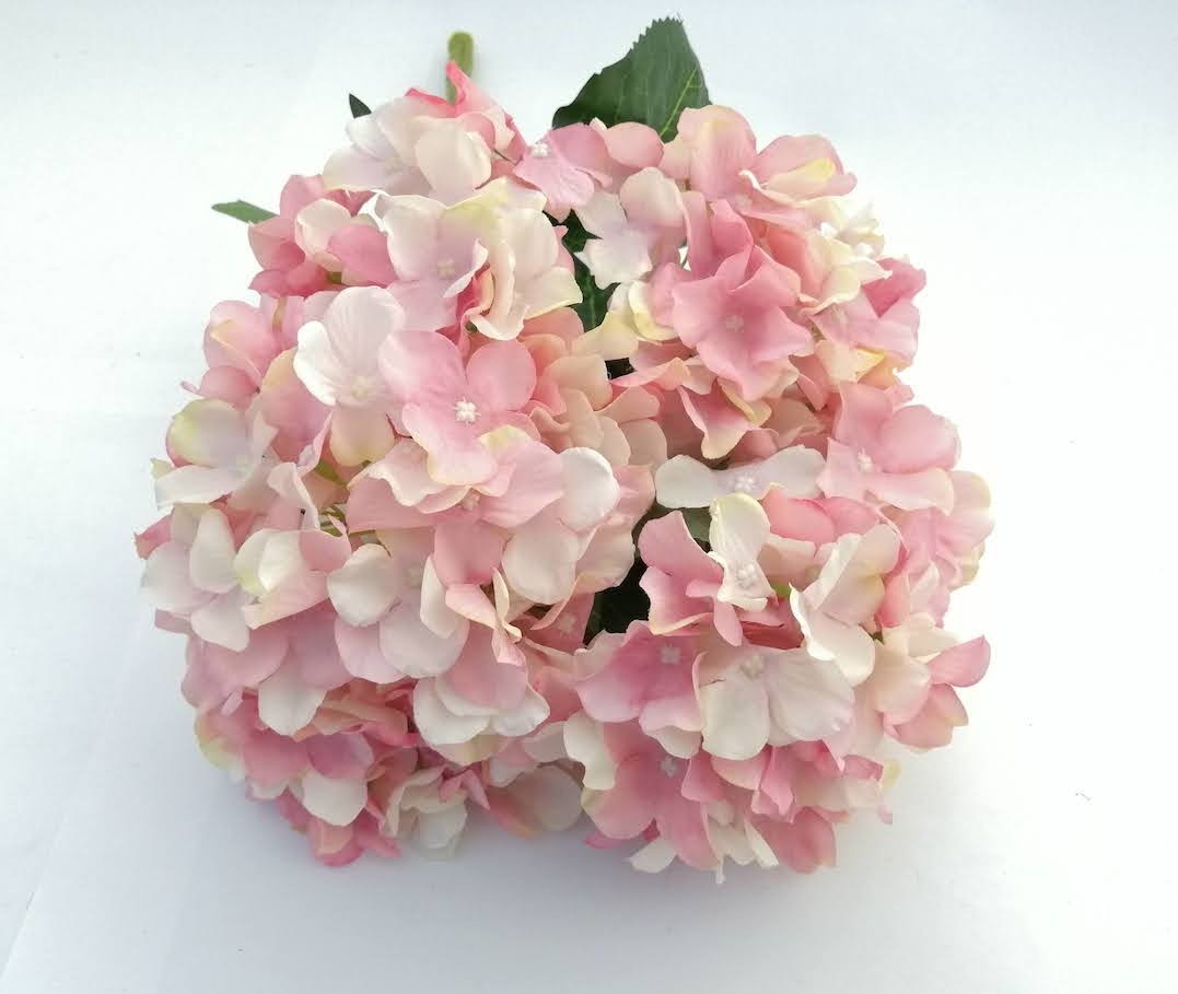 Ramo hortensia Tudy x 7 flores: varios colores