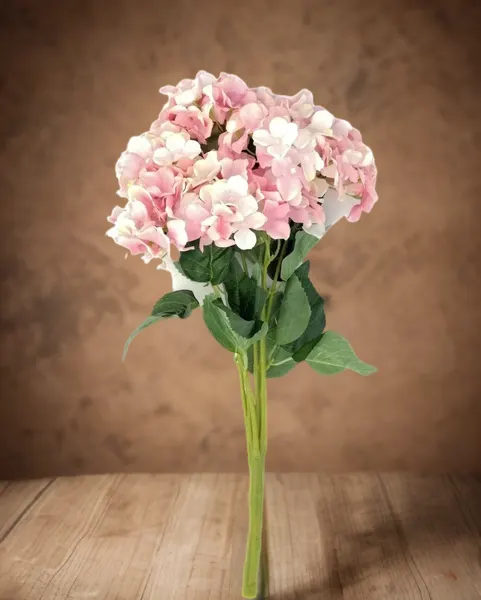 Ramo hortensia Tudy x 7 flores: varios colores