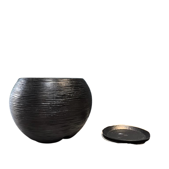 Maceta Orencia