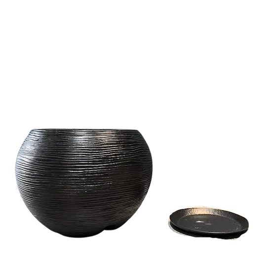 Maceta Orencia